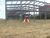 Terreno, 17 hectares - Foto 4