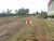 Terreno, 17 hectares - Foto 5