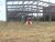 Terreno, 17 hectares - Foto 16