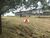 Terreno, 17 hectares - Foto 1