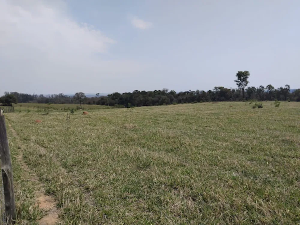 Terreno, 13 hectares - Foto 9