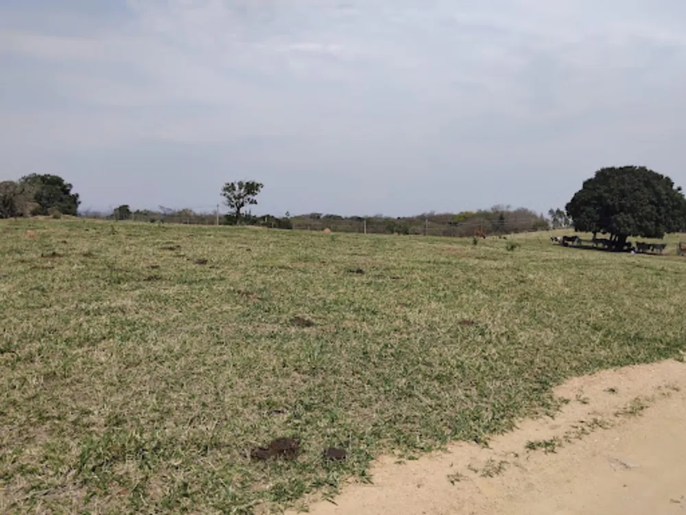 Terreno, 13 hectares - Foto 10