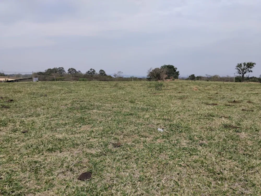 Terreno, 13 hectares - Foto 7