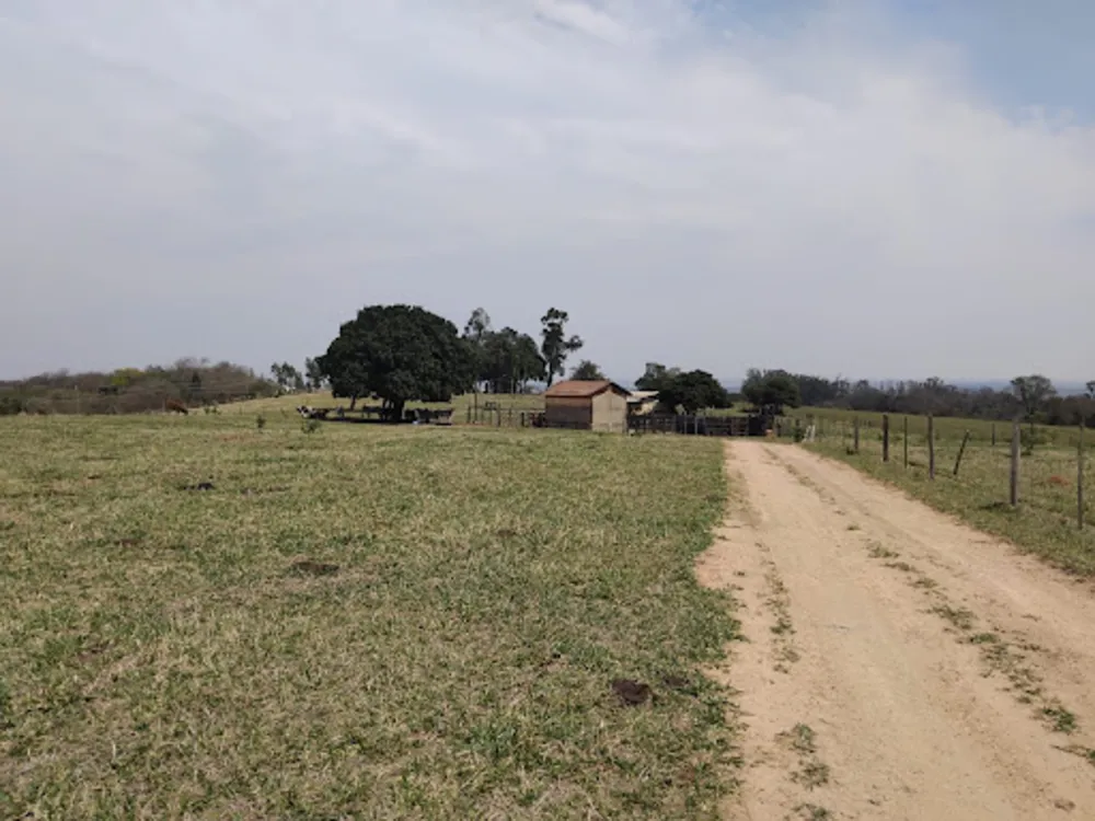 Terreno, 13 hectares - Foto 6