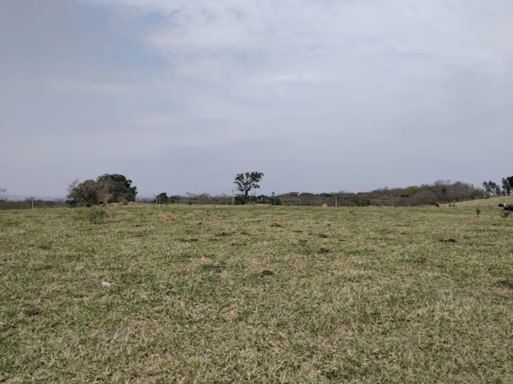 Terreno, 13 hectares - Foto 8