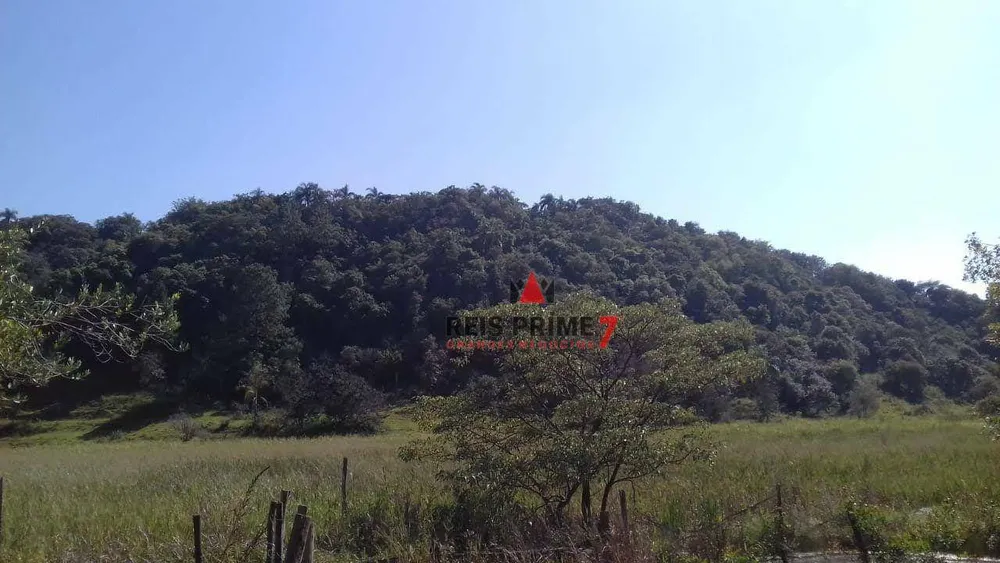 Terreno, 3 hectares - Foto 8