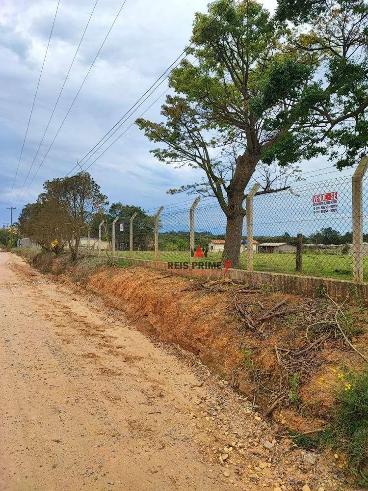 Terreno, 3 hectares - Foto 4