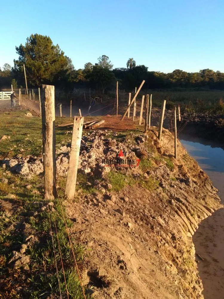 Terreno, 3 hectares - Foto 7