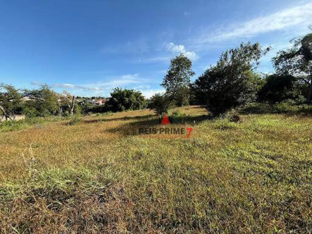 Terreno, 13 hectares - Foto 4