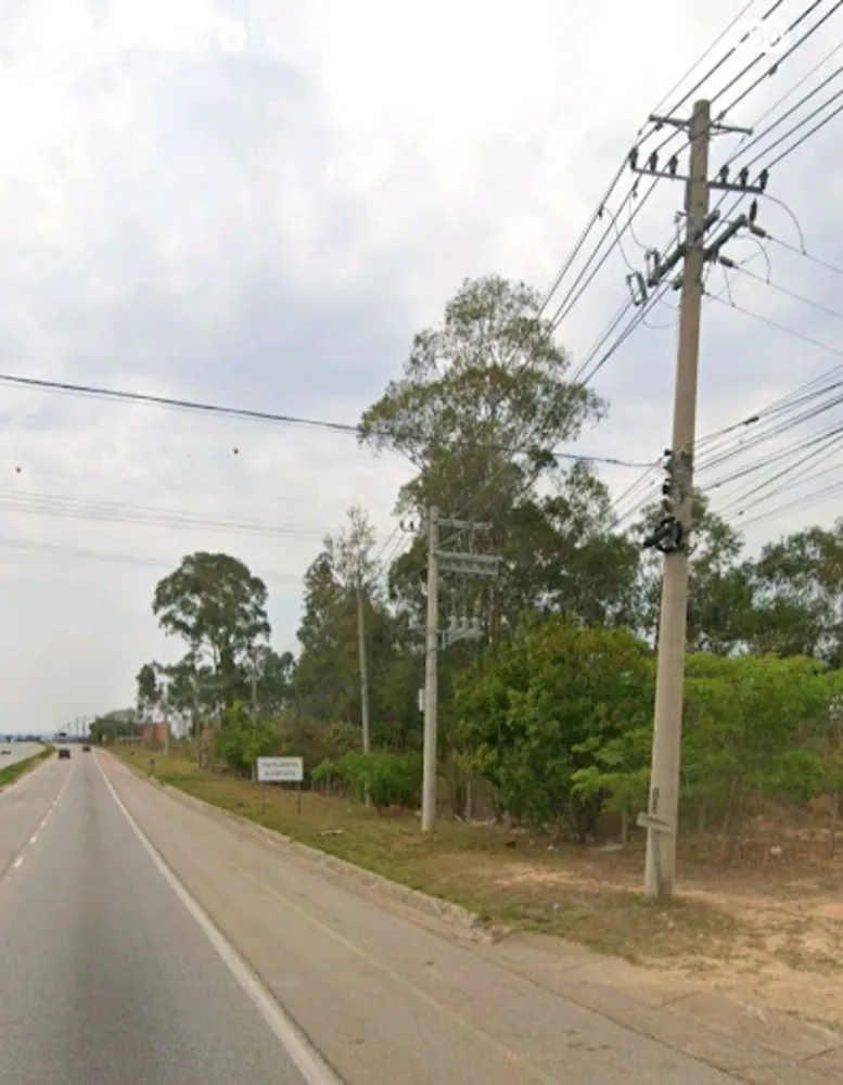 Terreno, 3 hectares - Foto 10
