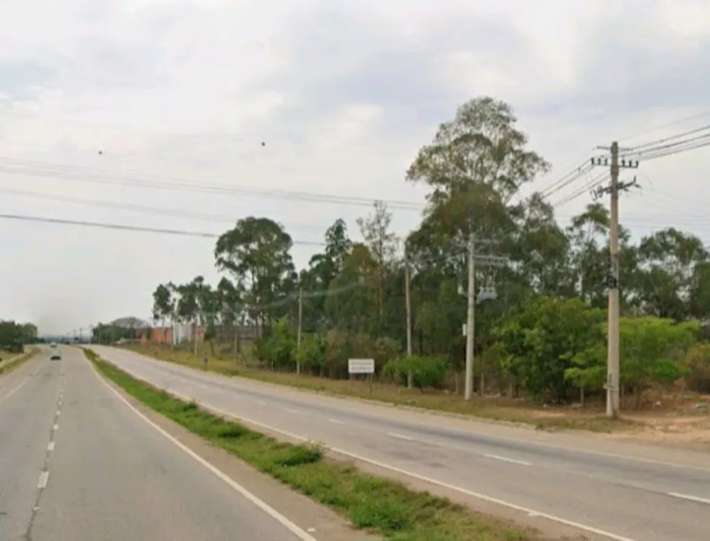 Terreno, 3 hectares - Foto 1