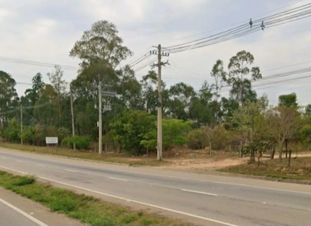 Terreno, 3 hectares - Foto 4