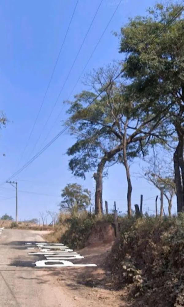 Terreno, 12 hectares - Foto 4
