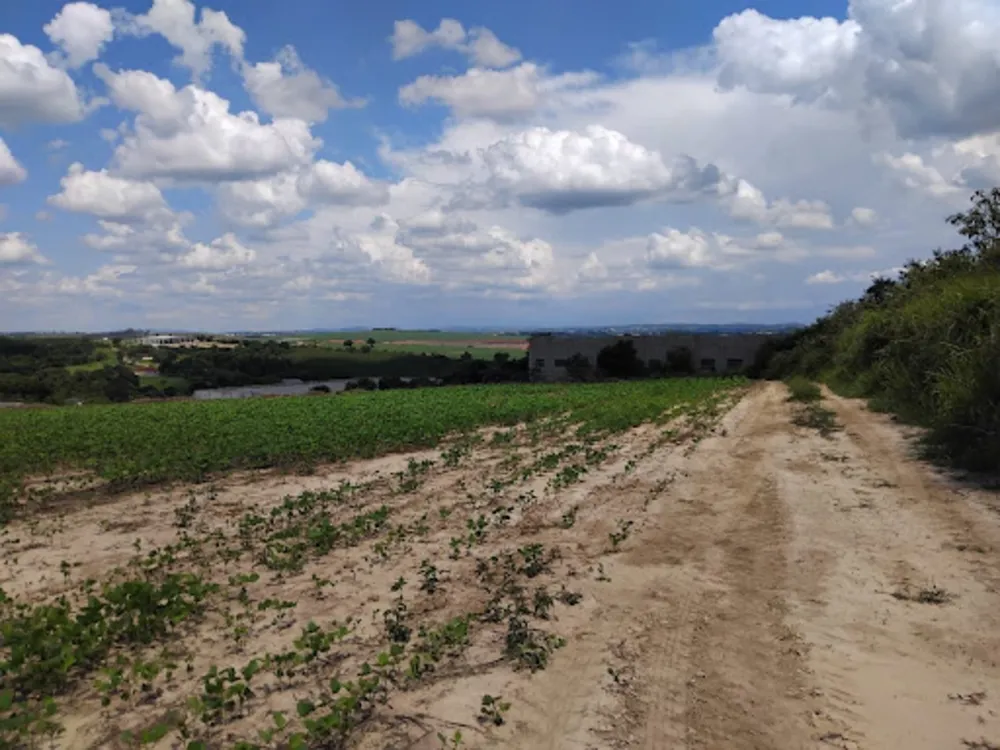Terreno, 10 hectares - Foto 3