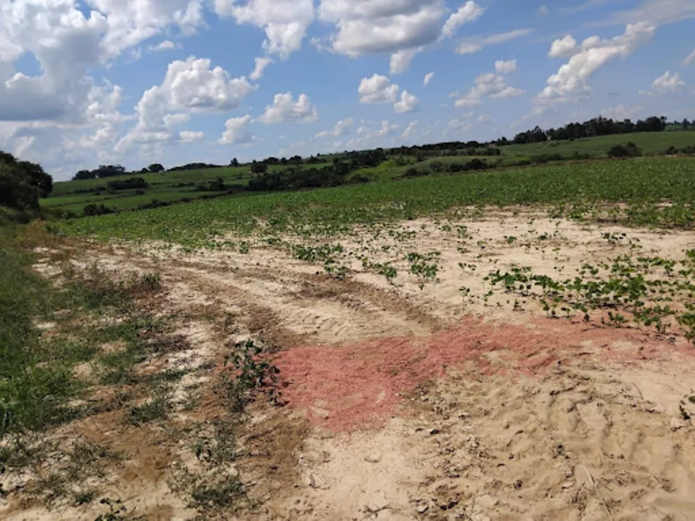 Terreno, 10 hectares - Foto 4