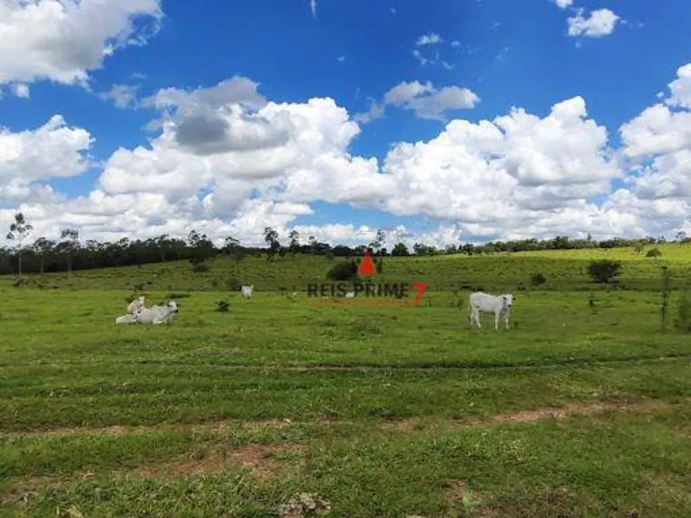 Terreno, 20 hectares - Foto 1