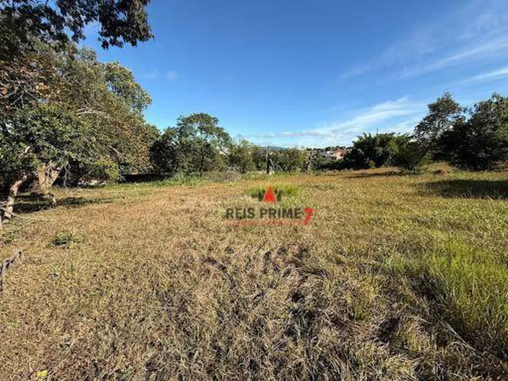 Terreno, 20 hectares - Foto 7