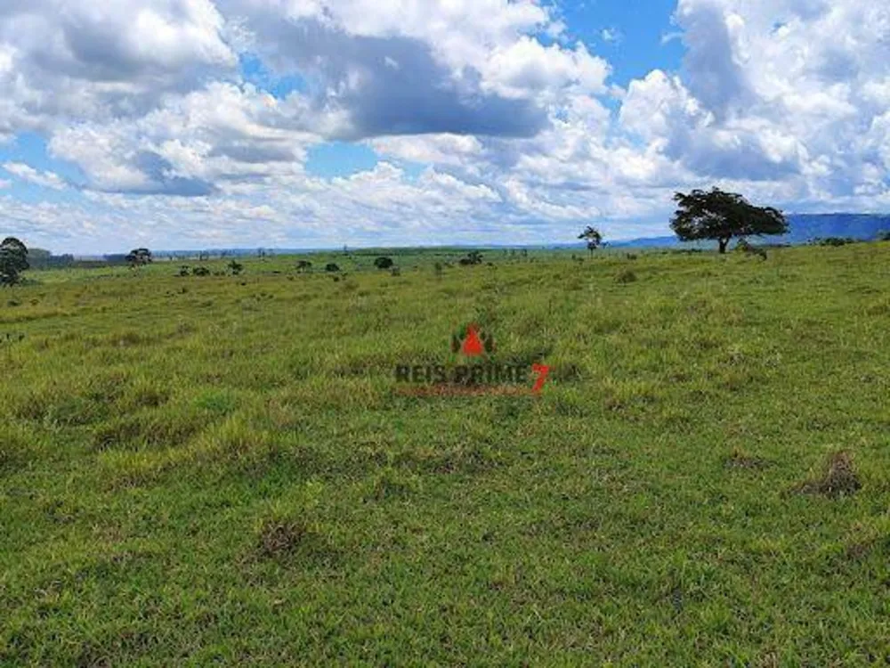 Terreno, 20 hectares - Foto 4