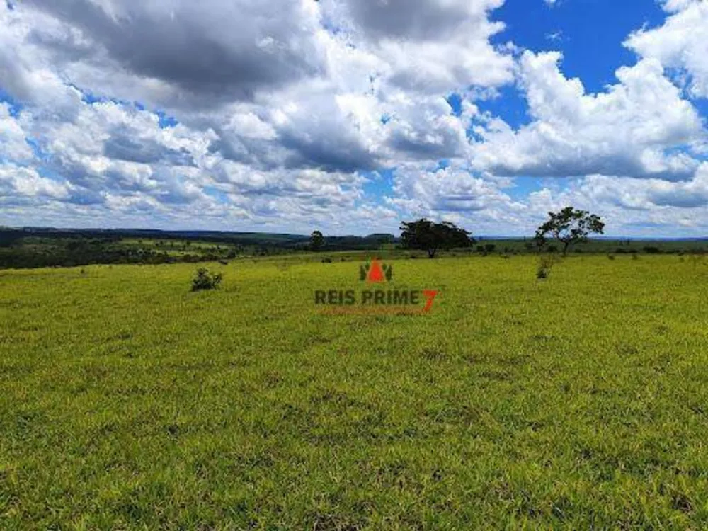 Terreno, 20 hectares - Foto 8