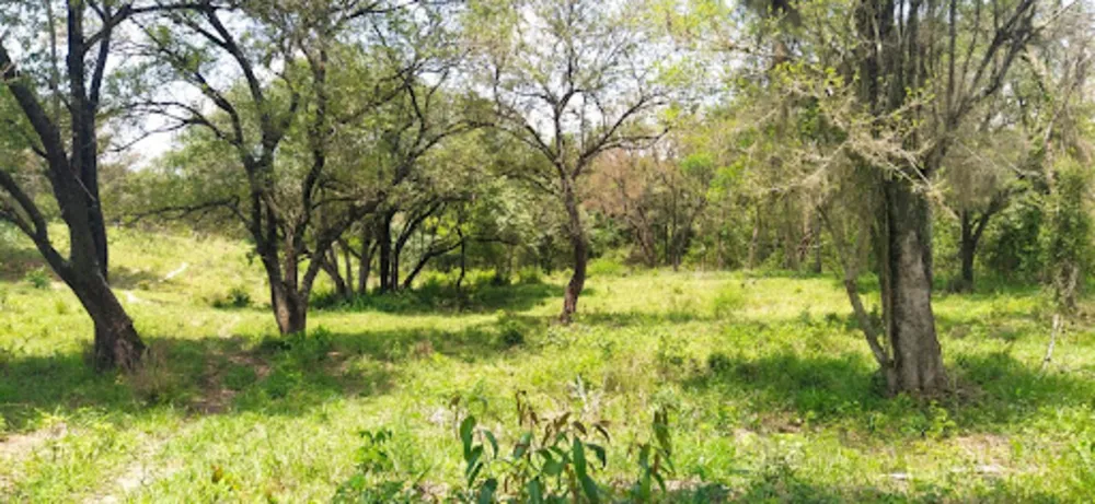 Terreno, 4 hectares - Foto 16