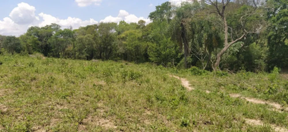 Terreno, 4 hectares - Foto 14