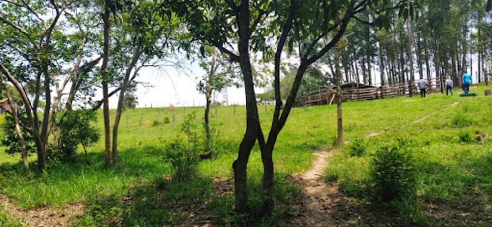 Terreno, 4 hectares - Foto 6