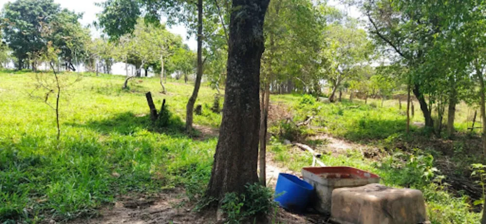 Terreno, 4 hectares - Foto 8