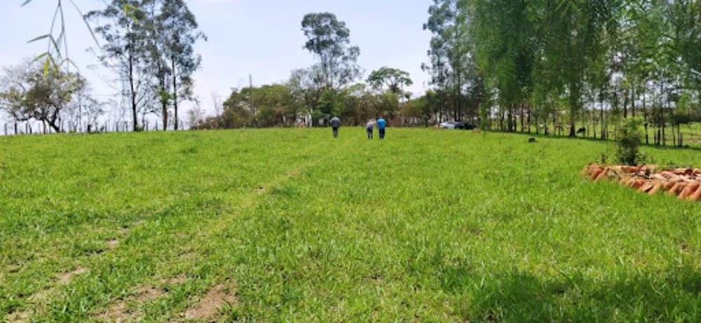 Terreno, 4 hectares - Foto 7