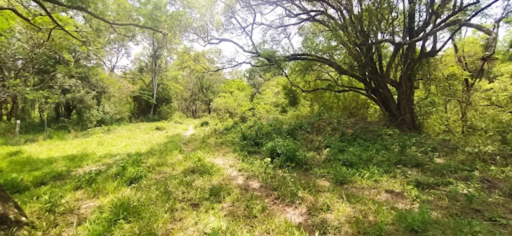 Terreno, 4 hectares - Foto 17