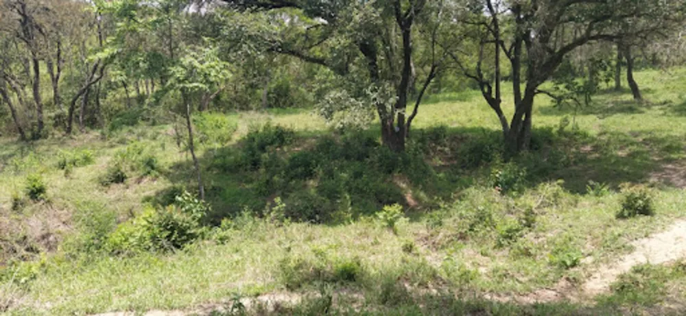Terreno, 4 hectares - Foto 3