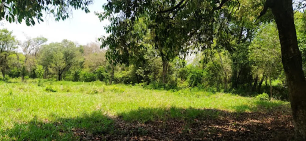 Terreno, 4 hectares - Foto 1