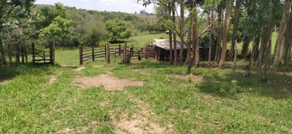 Terreno, 4 hectares - Foto 6