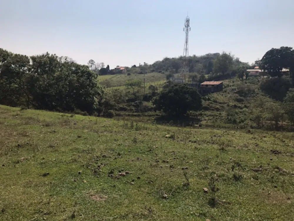 Terreno, 8 hectares - Foto 3