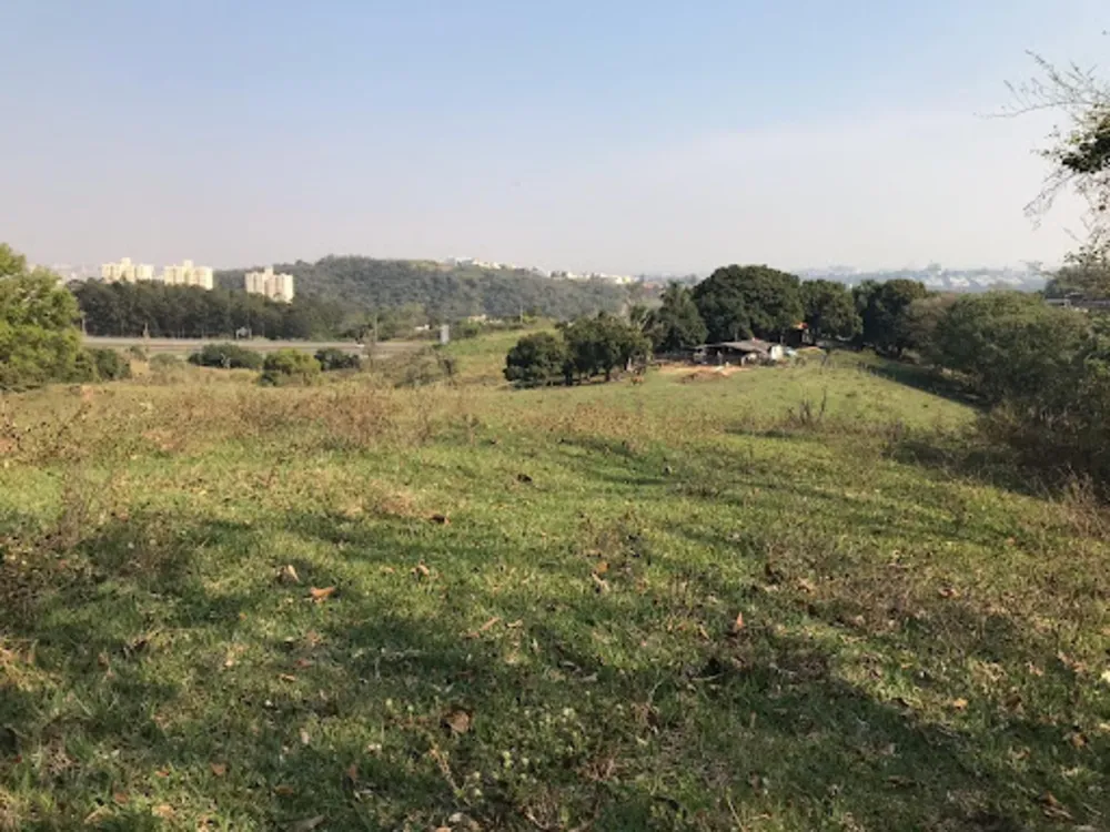 Terreno, 8 hectares - Foto 9