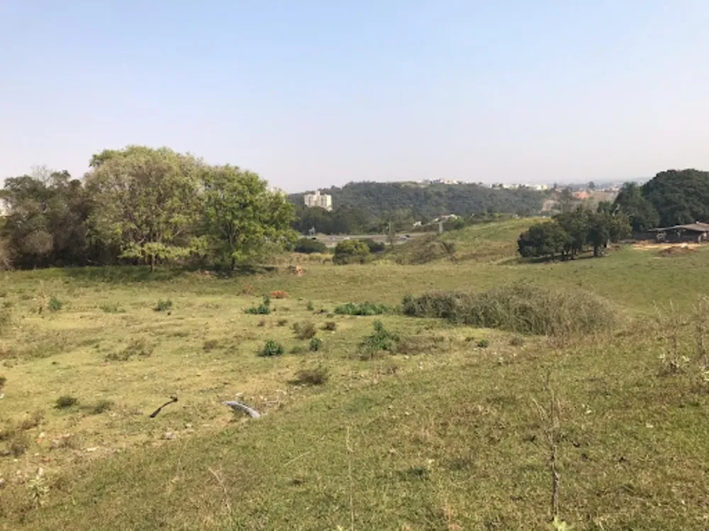 Terreno, 8 hectares - Foto 4