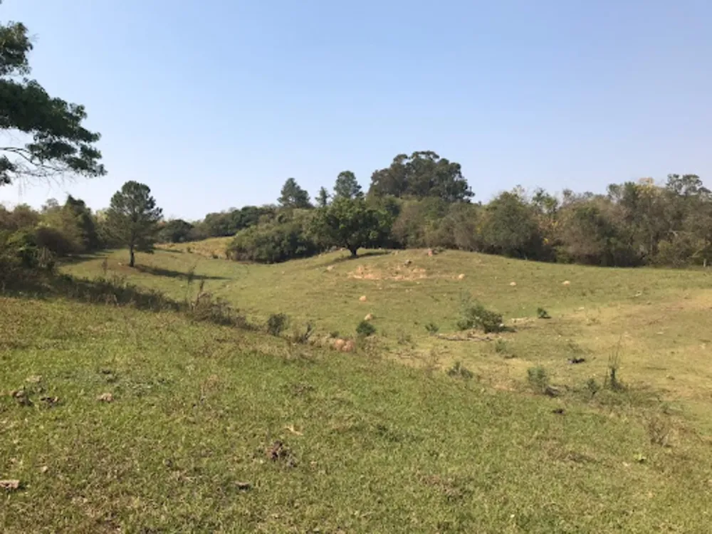 Terreno, 8 hectares - Foto 8