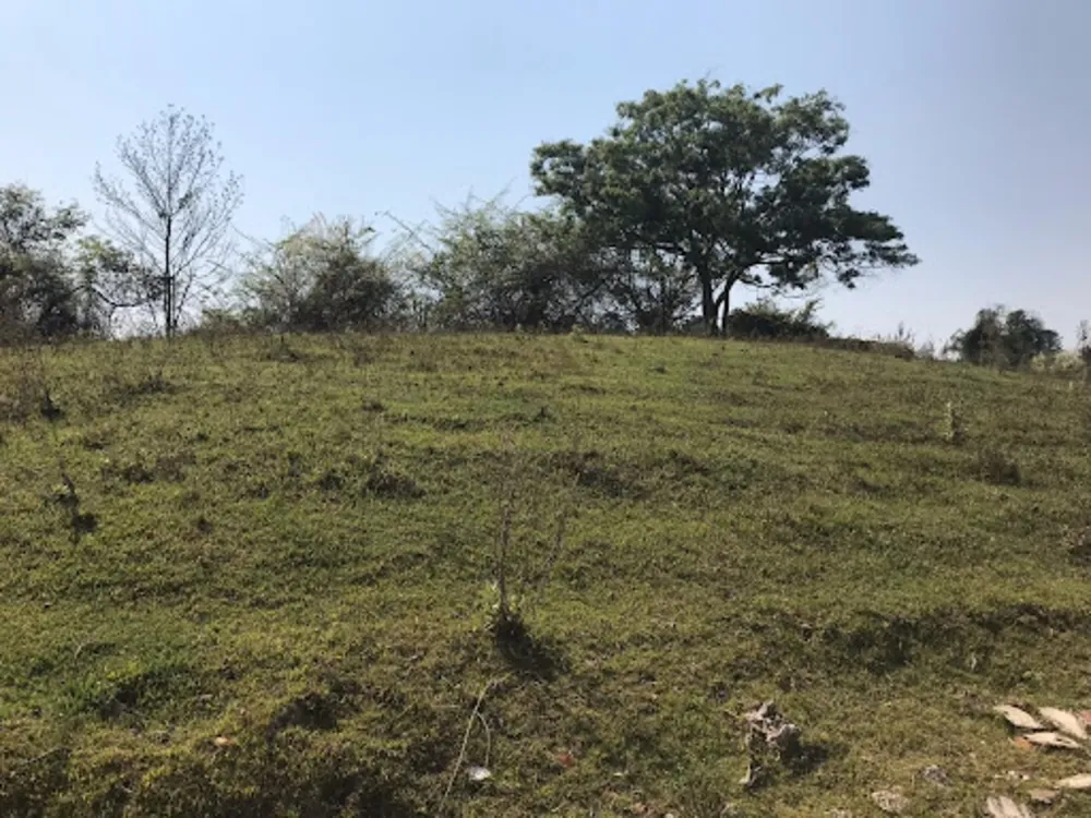 Terreno, 8 hectares - Foto 6