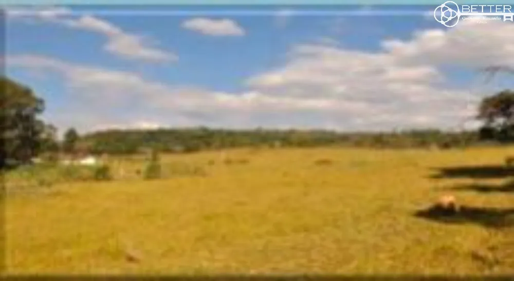 Loteamento e Condomínio, 29 hectares - Foto 6