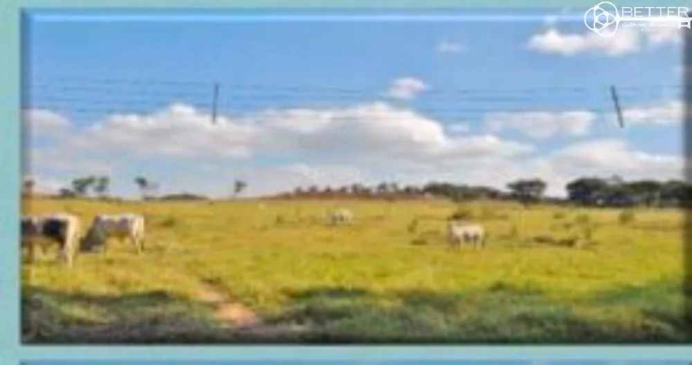 Loteamento e Condomínio, 29 hectares - Foto 7