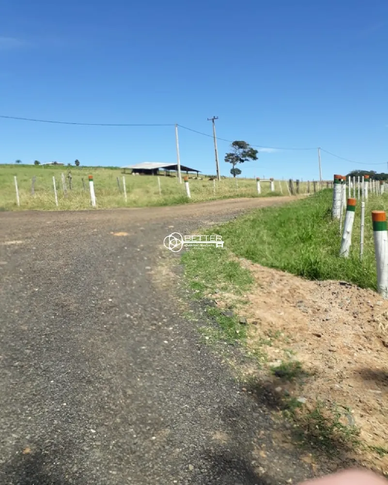Fazenda, 8 quartos - Foto 9