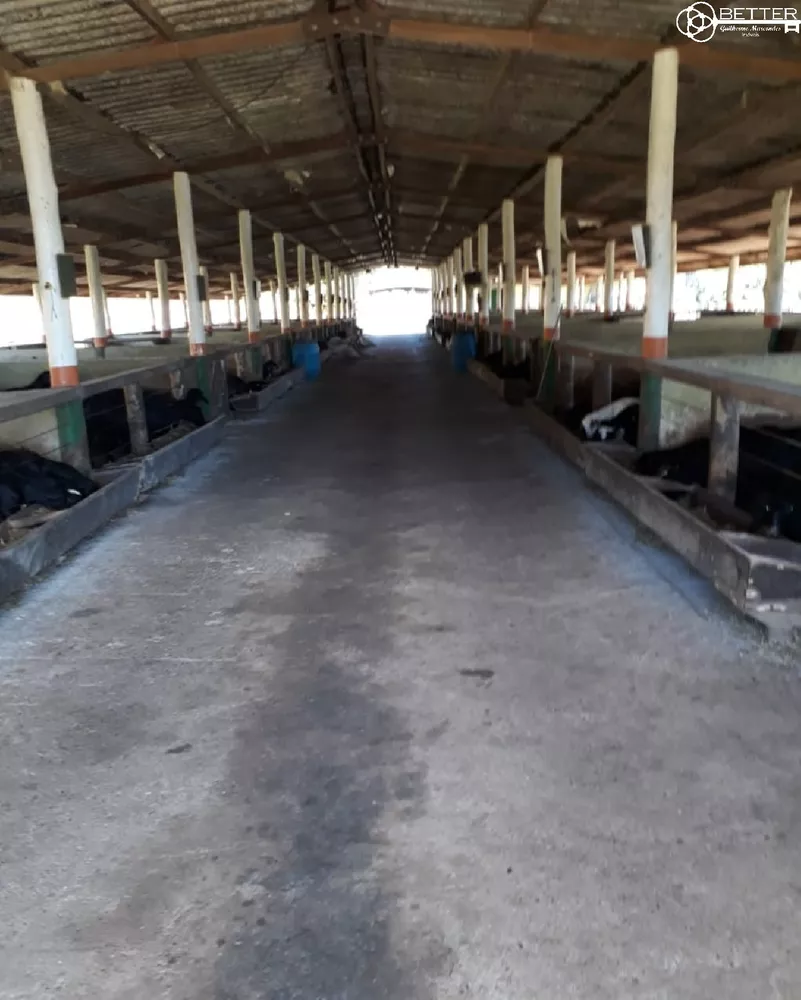 Fazenda, 8 quartos - Foto 2