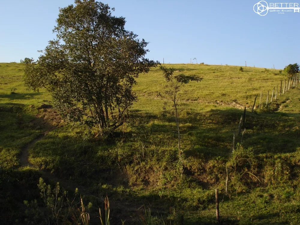 Terreno, 2 hectares - Foto 3