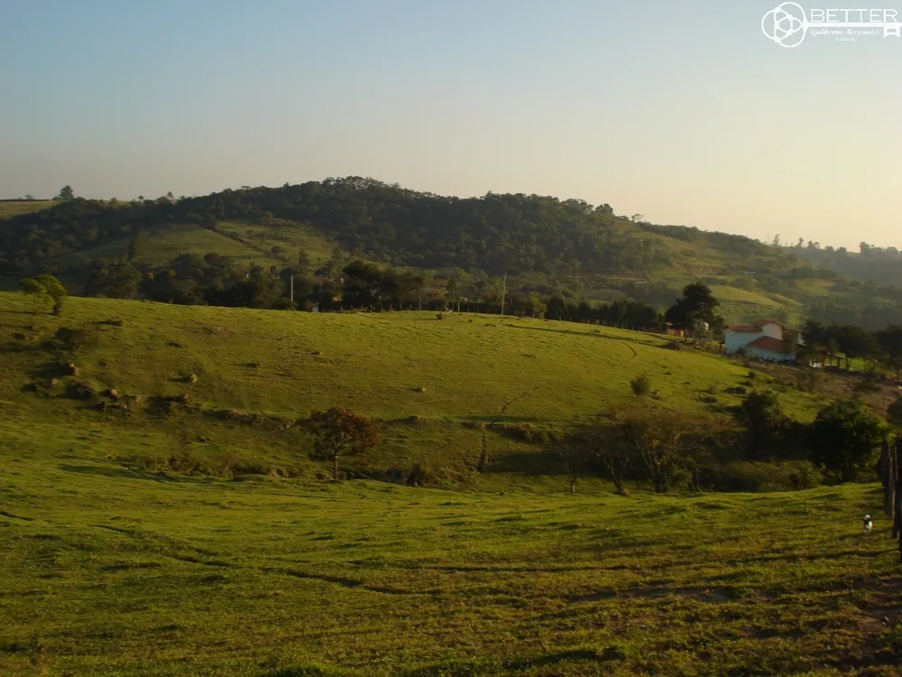 Terreno, 2 hectares - Foto 6
