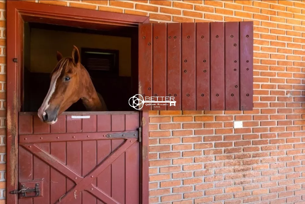 Fazenda - Foto 3