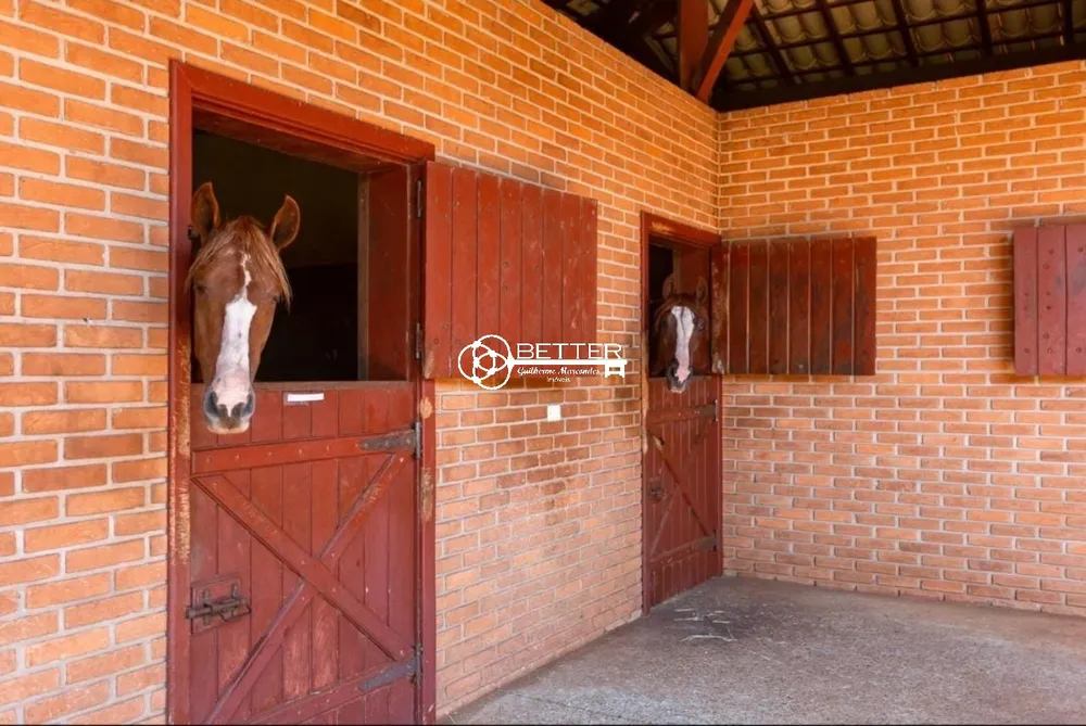 Fazenda - Foto 6