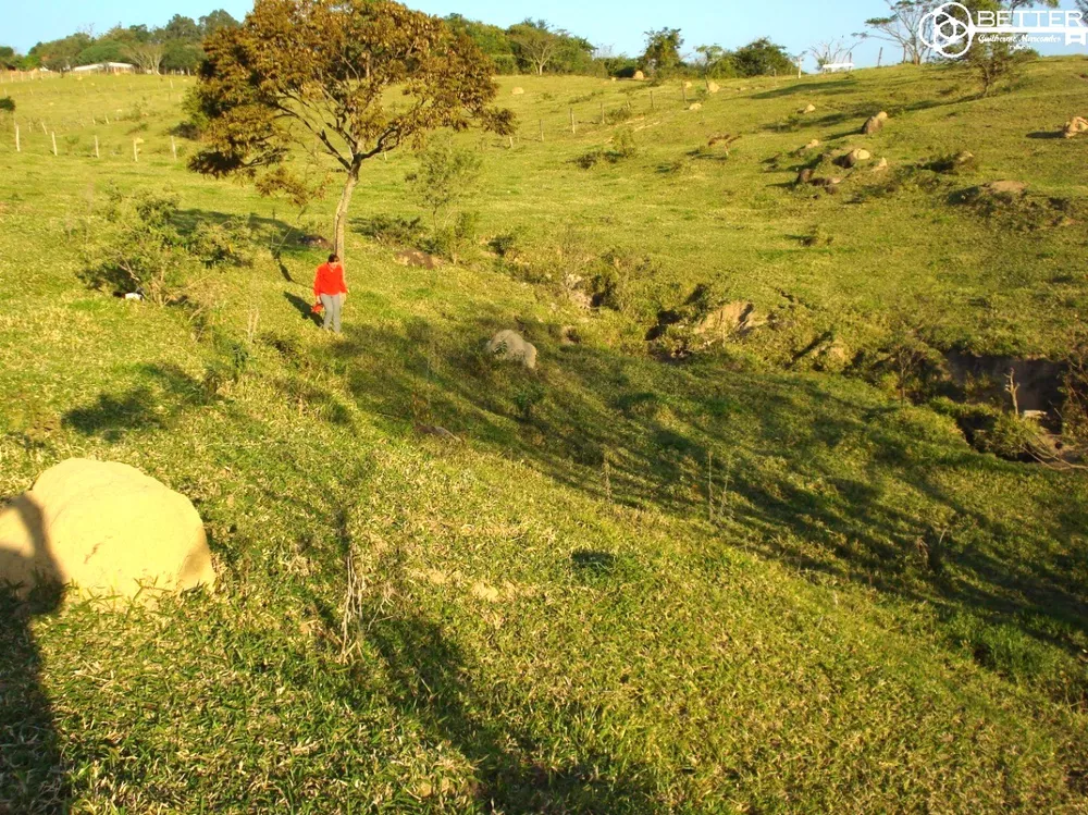 Terreno, 2 hectares - Foto 4
