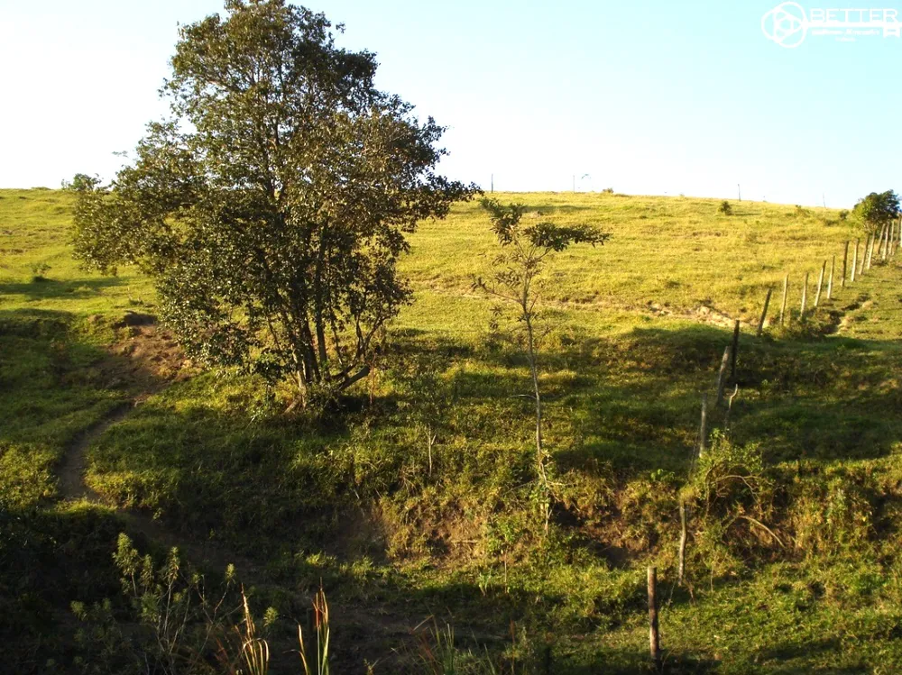 Terreno, 2 hectares - Foto 2