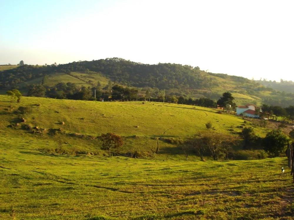Terreno, 2 hectares - Foto 4