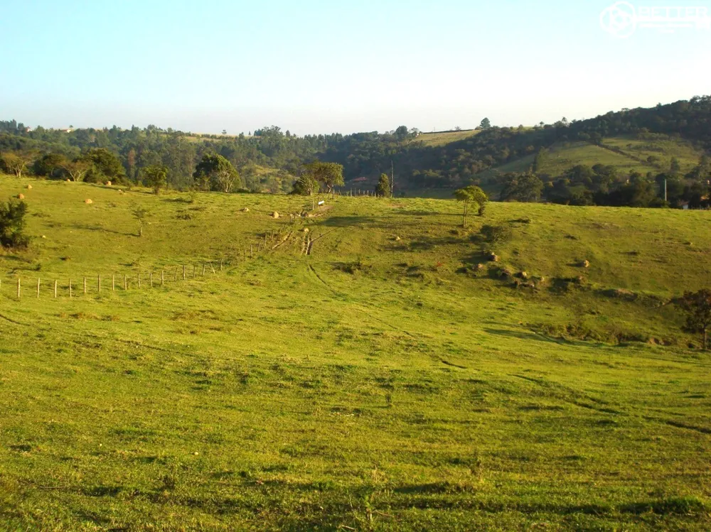 Terreno, 2 hectares - Foto 6