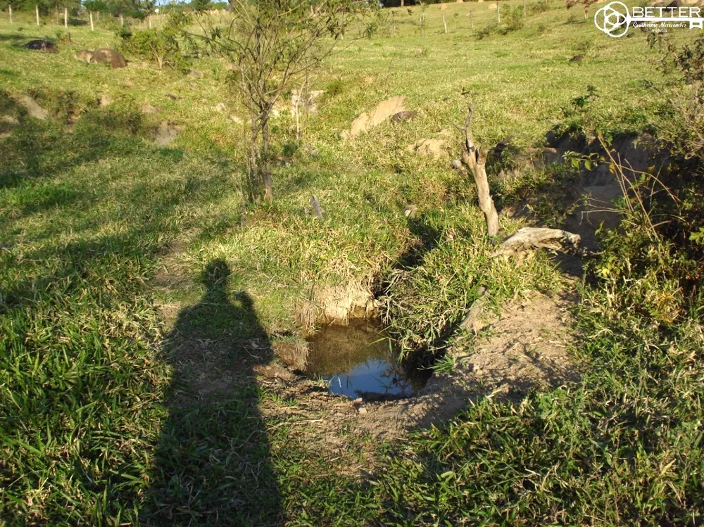 Terreno, 2 hectares - Foto 3